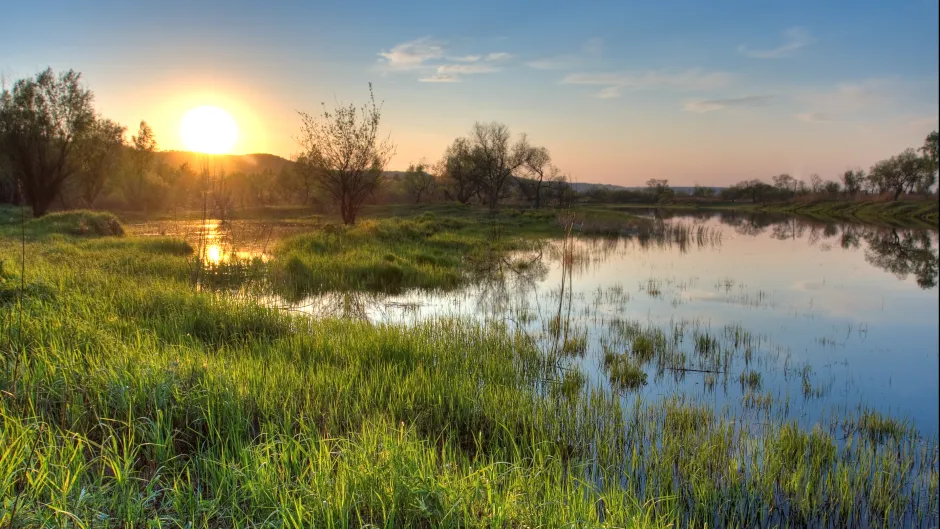 Blick auf ein Moor